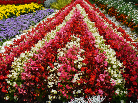 Aínsa 27Césped artificial económico