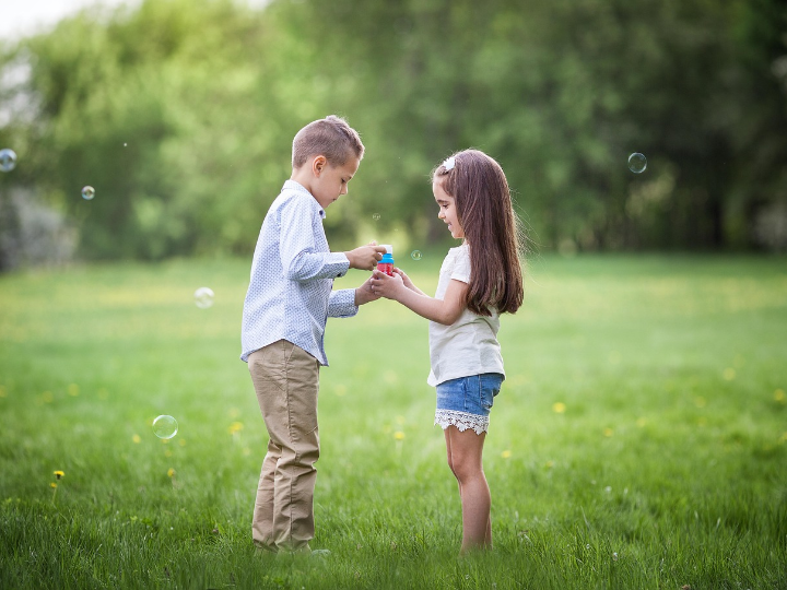 analisis de purse pets gato la mejor forma de diversion para tu mascota peluda