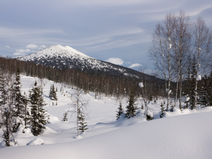 analisis del calzado de montana asics gel pulse 14 comodidad y rendimiento en terrenos de riesgo