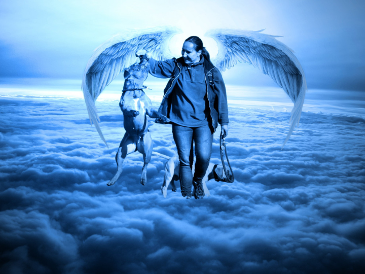 analisis detallado de las medidas del beastmaker 1000 idescubre la bestia en tu entrenamiento de escalada