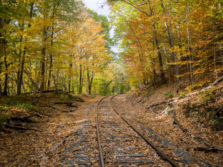 analisis detallado de las zapatillas adidas forest grove comodidad y estilo en cada paso