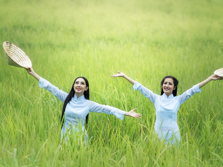 analisis y comparativa de los mejores productos freakys japoneses inspirados en miss all sunday nico robin