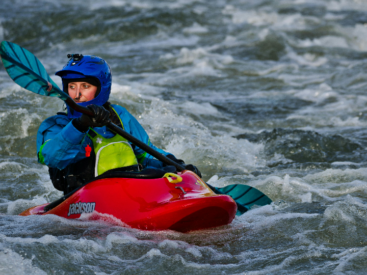 analisis y comparativa de los mejores remos de polea baja con agarre ancho para tu gimnasio