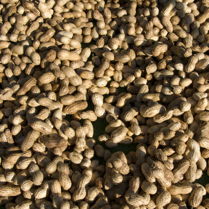 beneficios de la crema de cacahuate en la reduccion del colesterol un analisis positivo internacional