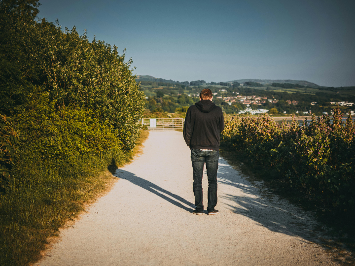 camino del artista el