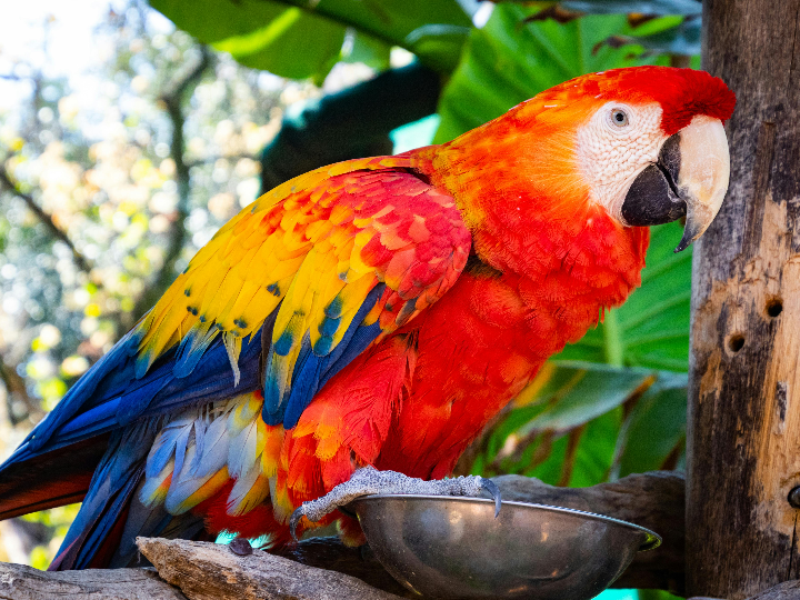 categoria serie msz bt mitsubishi