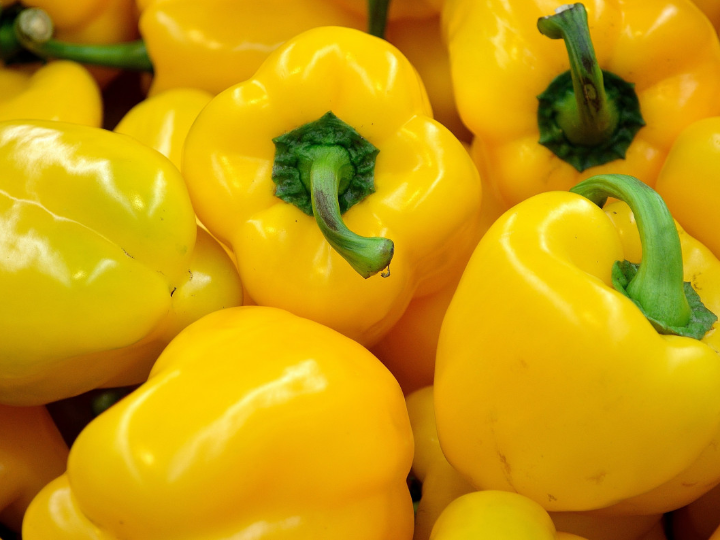 como controlar oidio en pimiento