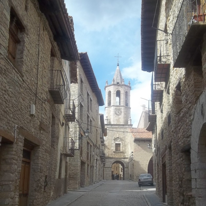 cuanto dinero cuesta mantener un perro