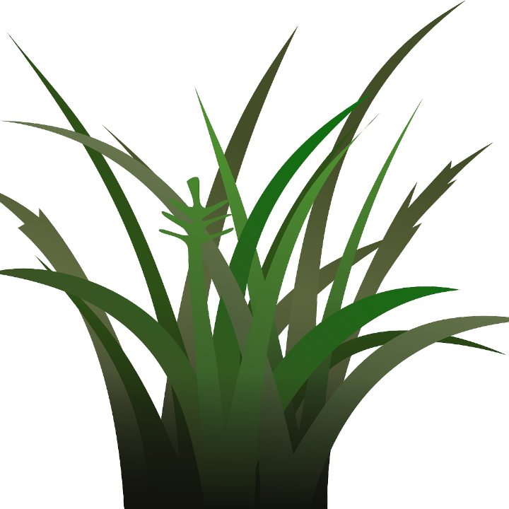 descubre la hierba blanca pokemon el ingrediente internacional que transformara tus recetas