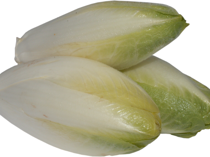 descubre los beneficios de la chicoree en tu dieta internacional analisis positivos