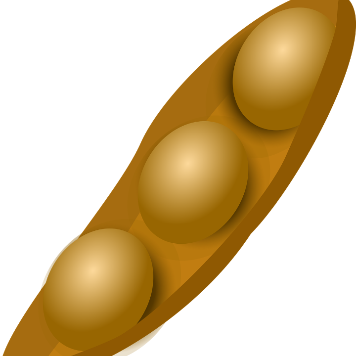 descubre los diferentes tipos de sojas y como elegir la mejor opcion para tus productos veganos