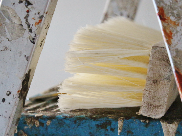 descubre por que fristi es la eleccion perfecta en el mundo de los lacteos internacionales analisis positivo