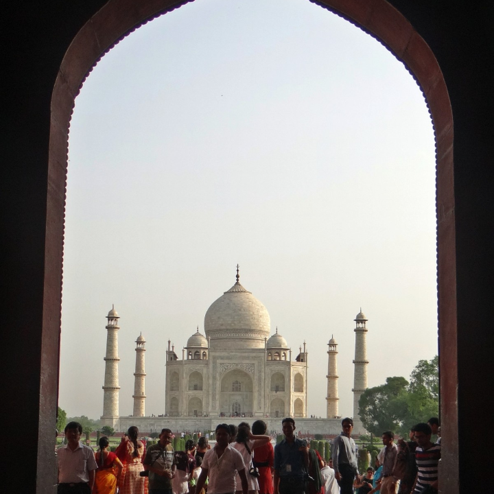 descubre por que mogu mogu es la bebida internacional que conquista paladares en todo el mundo