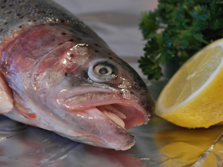 descubre si la cabeza de salmon sirve para caldo y aprende como aprovecharla al maximo