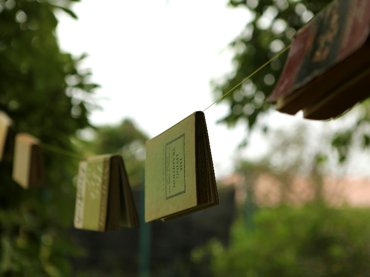 descubre si los yogures contienen gluten analisis y comparativa de las mejores opciones sin gluten