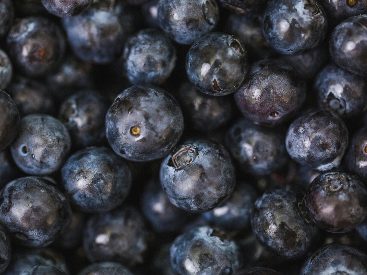 descubre todo sobre el antioxidante e306 en productos de alimentacion internacionales beneficios y usos