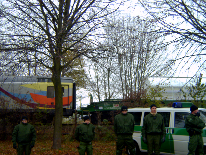 descubriendo las deliciosas berenjenas chinas a la plancha analisis positivo de un producto internacional