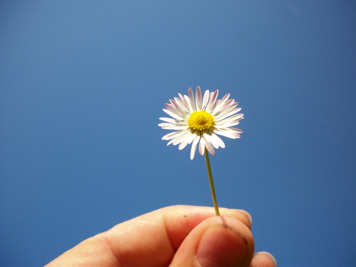 disenos de bordado a mano de verano ideas de bordado e inspiracion para la temporada soleada