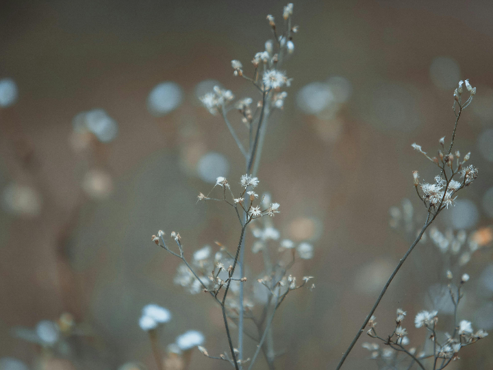 el aliento del cielo