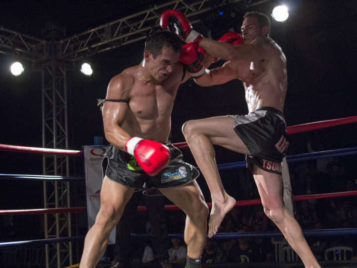 el arte nordico de la geometria los secretos del himmeli