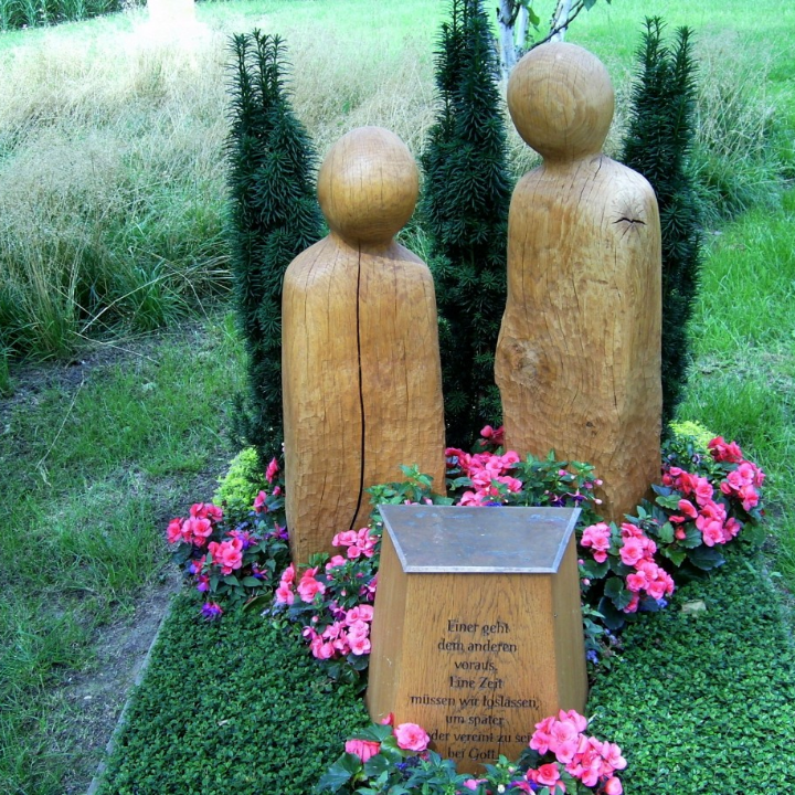 el misterio de la flor del cementerio descubre su nombre y significado en la jardineria