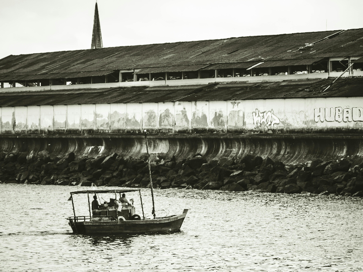 escoge tu fusil de pesca submarina
