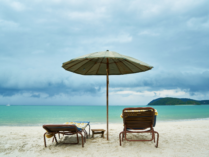 falastin un viaje culinario