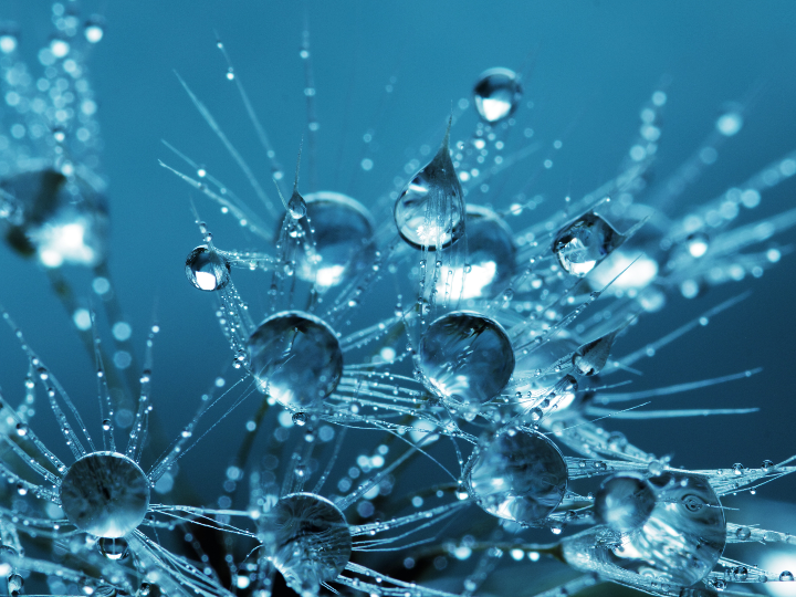 ferrosol gotas forte 1 envase 30 ml 1 sobre 2 5g