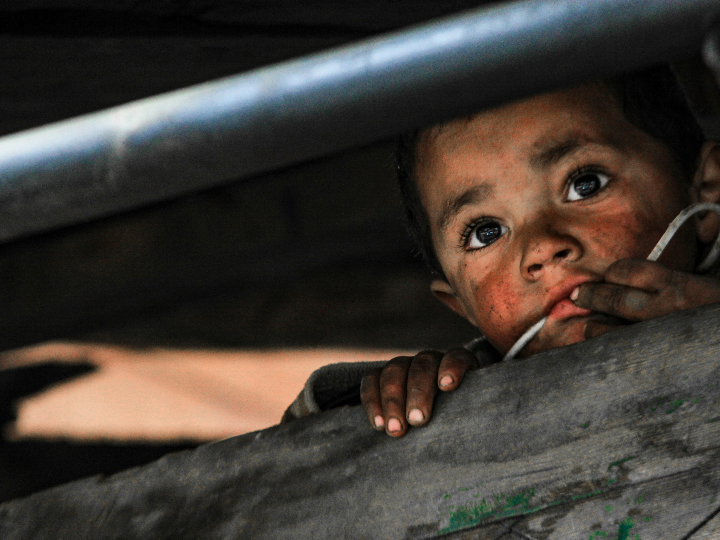 fosfato dipotasico alimentario 25 kg e340ii