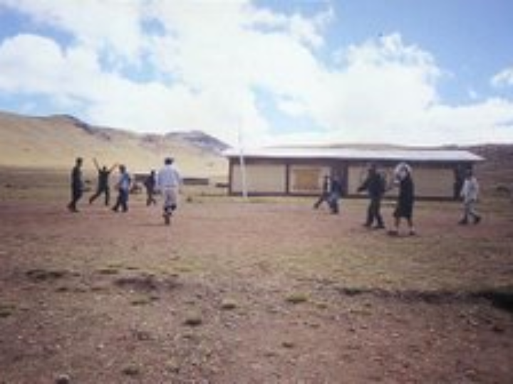 gse pro ovulos vaginales 10 ovulos