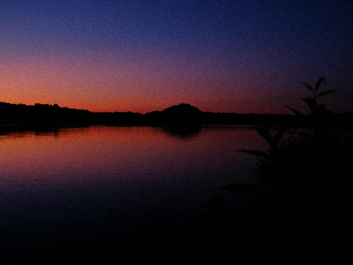 guia para visitar sayulita en riviera nayarit