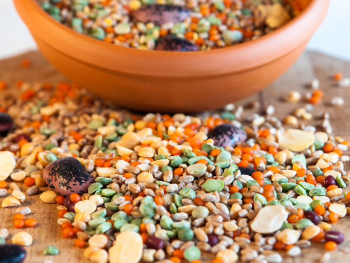 haricot vert descubre los beneficios de este delicioso producto internacional