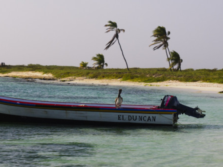horario medina mostoles el factor clave para aprovechar al maximo el tiempo de juego con juguetes