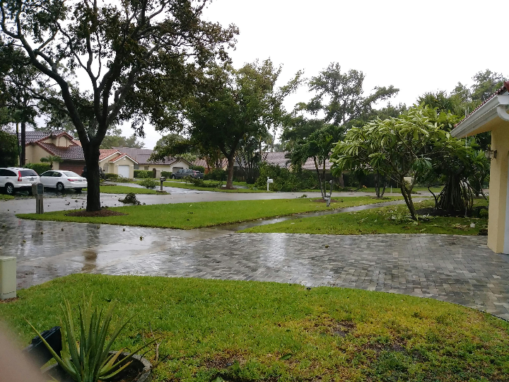 hurricaine spray 200 mg ml solucion para pulverizacion bucal 1 frasco de 5 ml