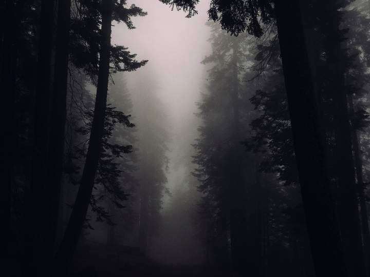 la trilogia de la niebla