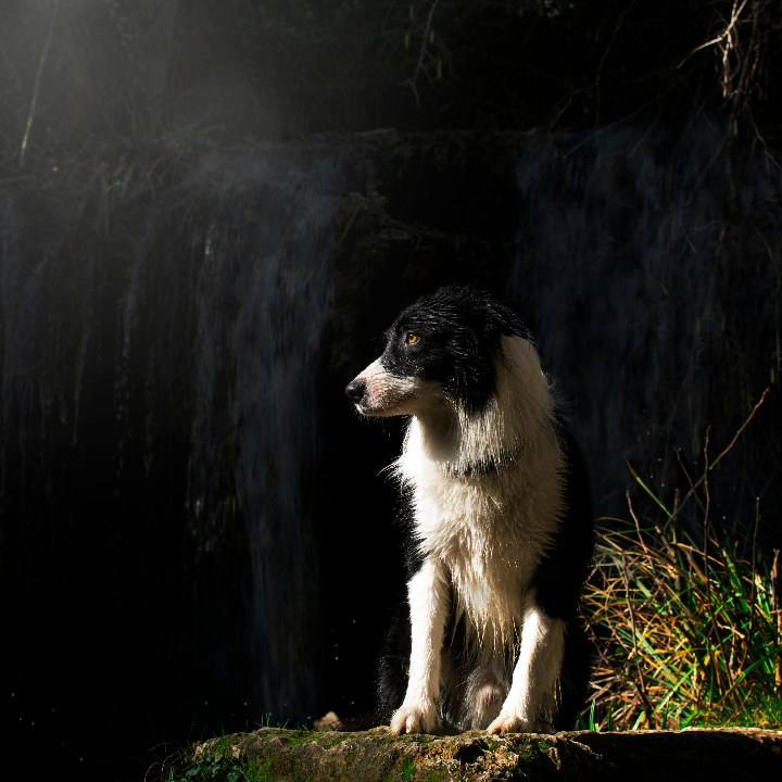 las mejores tiendas de juguetes en girona analisis comparativa y ventajas