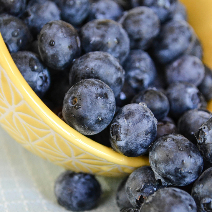 las variedades de arandano de planasa se consolidan en distintos paises productores del mundo