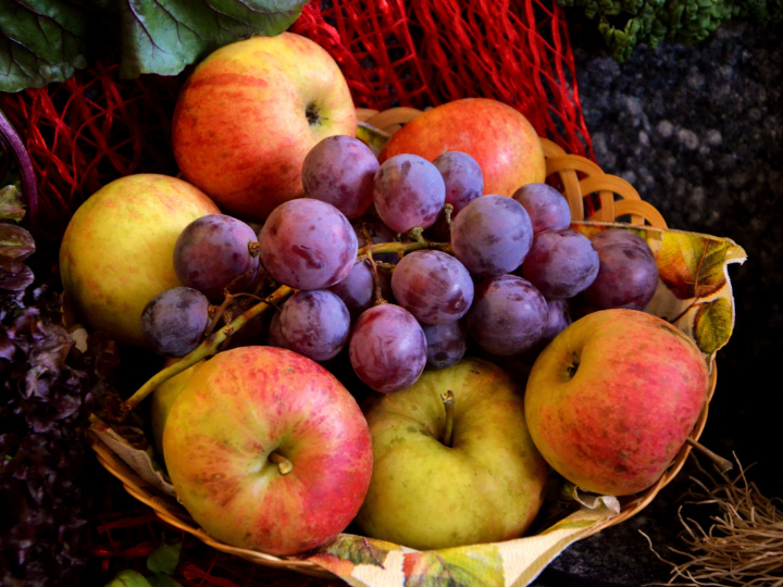 malus 8 anos bonsai de manzano