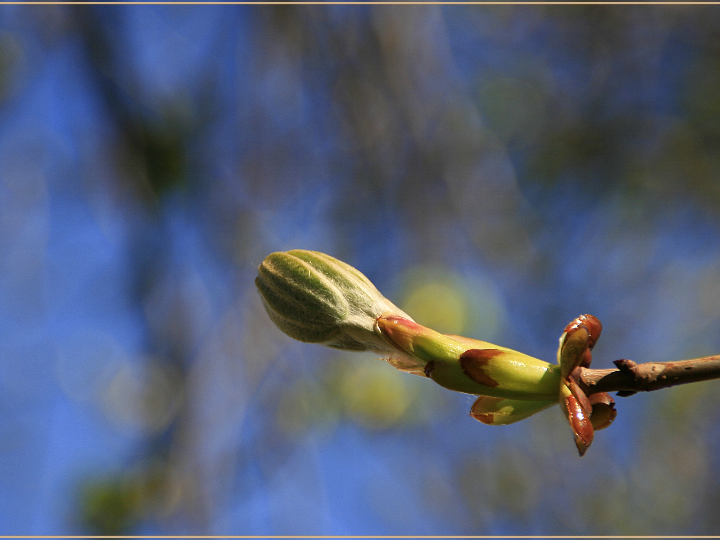 mejores ortopedia en soria cerca de mi