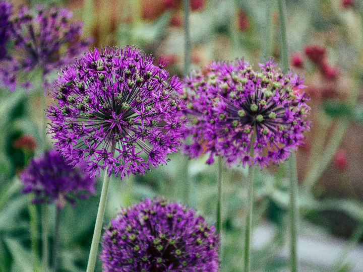 mesas con pie central dalia