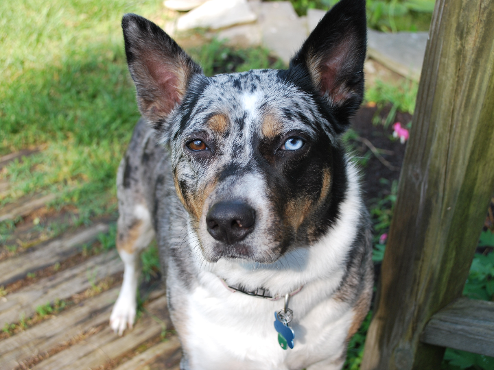 neostrata skin active tri therapy lifting serum 30ml