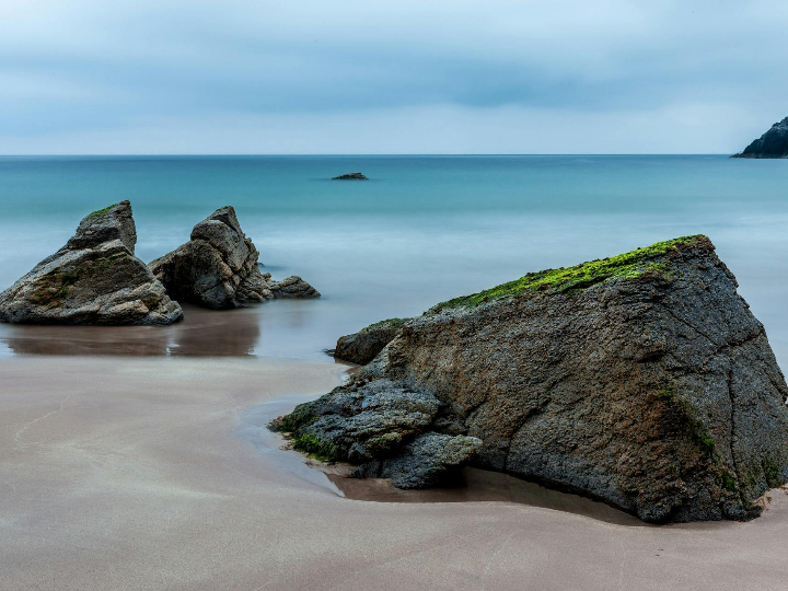 oliva verde partida tipo caspe 1kg
