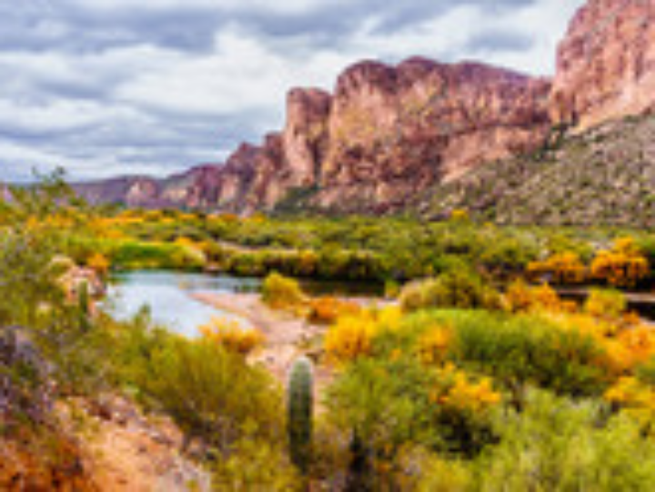 receta chipirones encebollados en thermomix de la juani