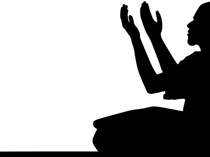 shilajit el oro negro de la salud y sus beneficios acido fulvico