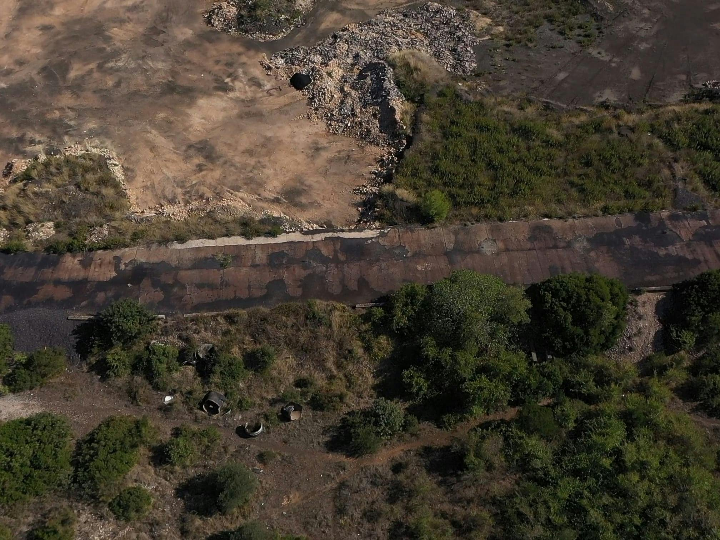 teff en mercadona todo lo que necesitas saber sobre la harina copos y pan de este cereal