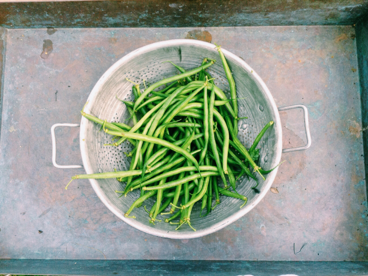 tiempo de coccion ideal para judias verdes en la olla rapida magefesa