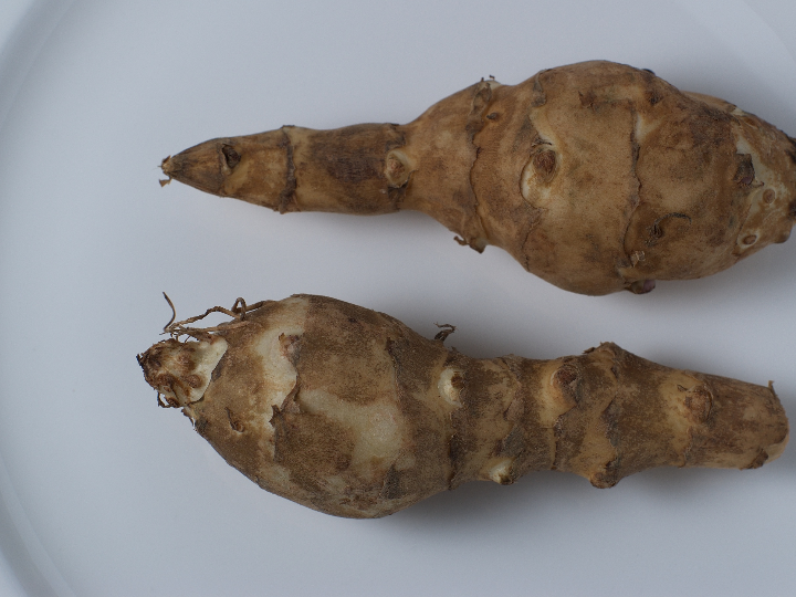 topinambo en polvo eco