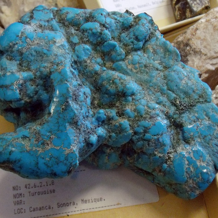 vichy celestin el agua mineral internacional que eleva tu experiencia gastronomica