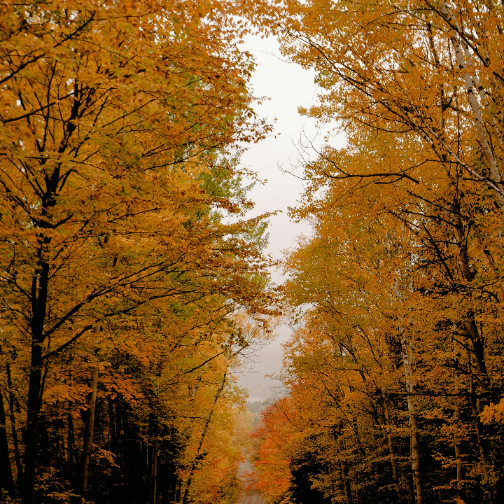 vino pradorey adaro opiniones y analisis