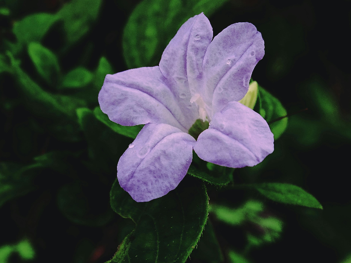 xiaomi redmi note 12 manual